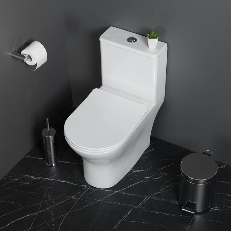 Унитаз моноблок напольный BelBagno Lounge BB8618CPR-MN/SC безободковый, с микролифтом