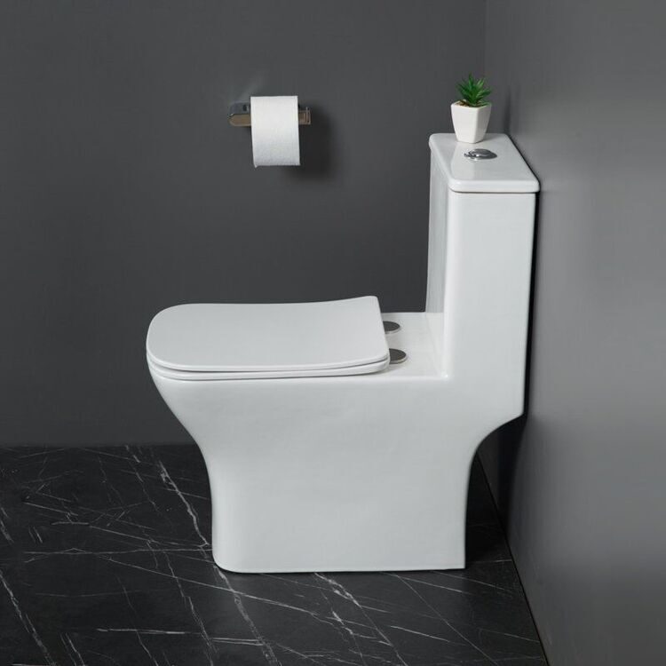 Унитаз моноблок напольный BelBagno Neon BB8617CPR-MN/SC безободковый, с микролифтом