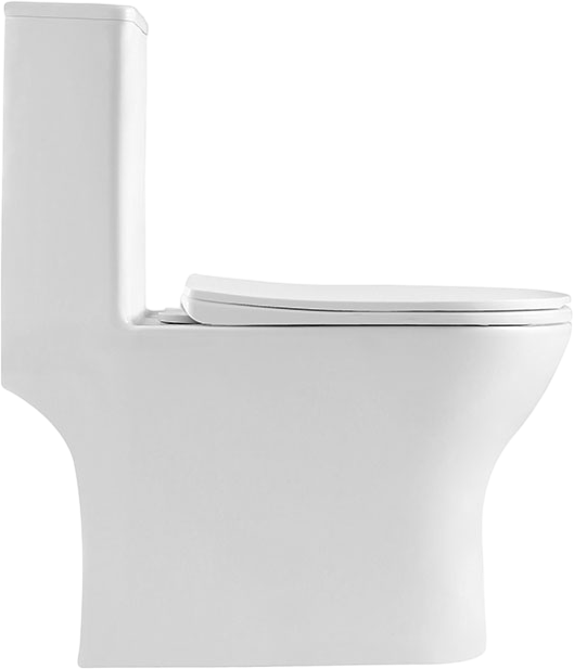 Унитаз моноблок напольный BelBagno Lounge BB8618CPR-MN/SC безободковый, с микролифтом