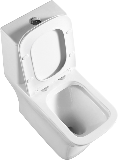 Унитаз моноблок напольный BelBagno Neon BB8617CPR-MN/SC безободковый, с микролифтом