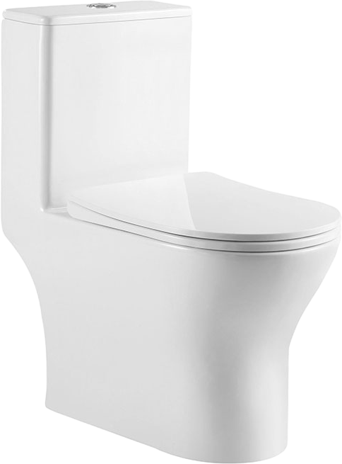 Унитаз моноблок напольный BelBagno Lounge BB8618CPR-MN/SC безободковый, с микролифтом