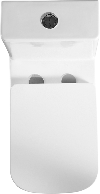 Унитаз моноблок напольный BelBagno Neon BB8617CPR-MN/SC безободковый, с микролифтом