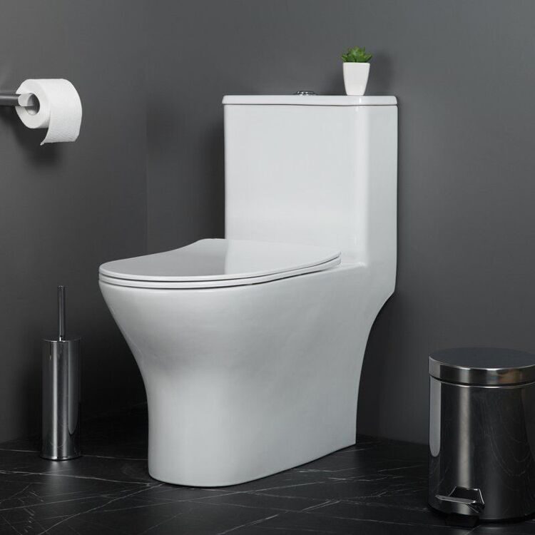 Унитаз моноблок напольный BelBagno Lounge BB8618CPR-MN/SC безободковый, с микролифтом