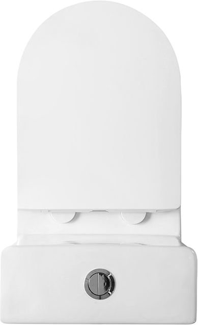 Унитаз моноблок напольный BelBagno Lounge BB8618CPR-MN/SC безободковый, с микролифтом